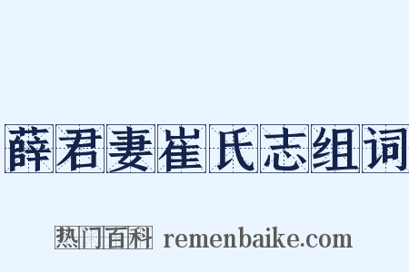 薛君妻崔氏志组词是什么意思的图片